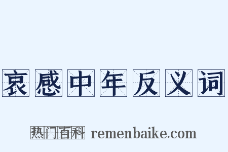 哀感中年反义词是什么意思的图片